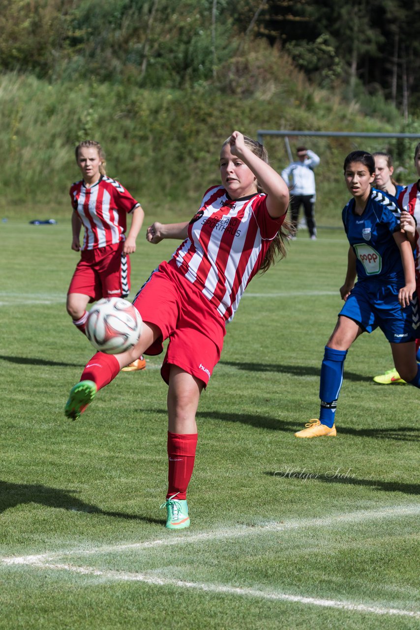 Bild 128 - B-Juniorinnen TuS Tensfeld - FSC Kaltenkirchen : Ergebnis: 3:6